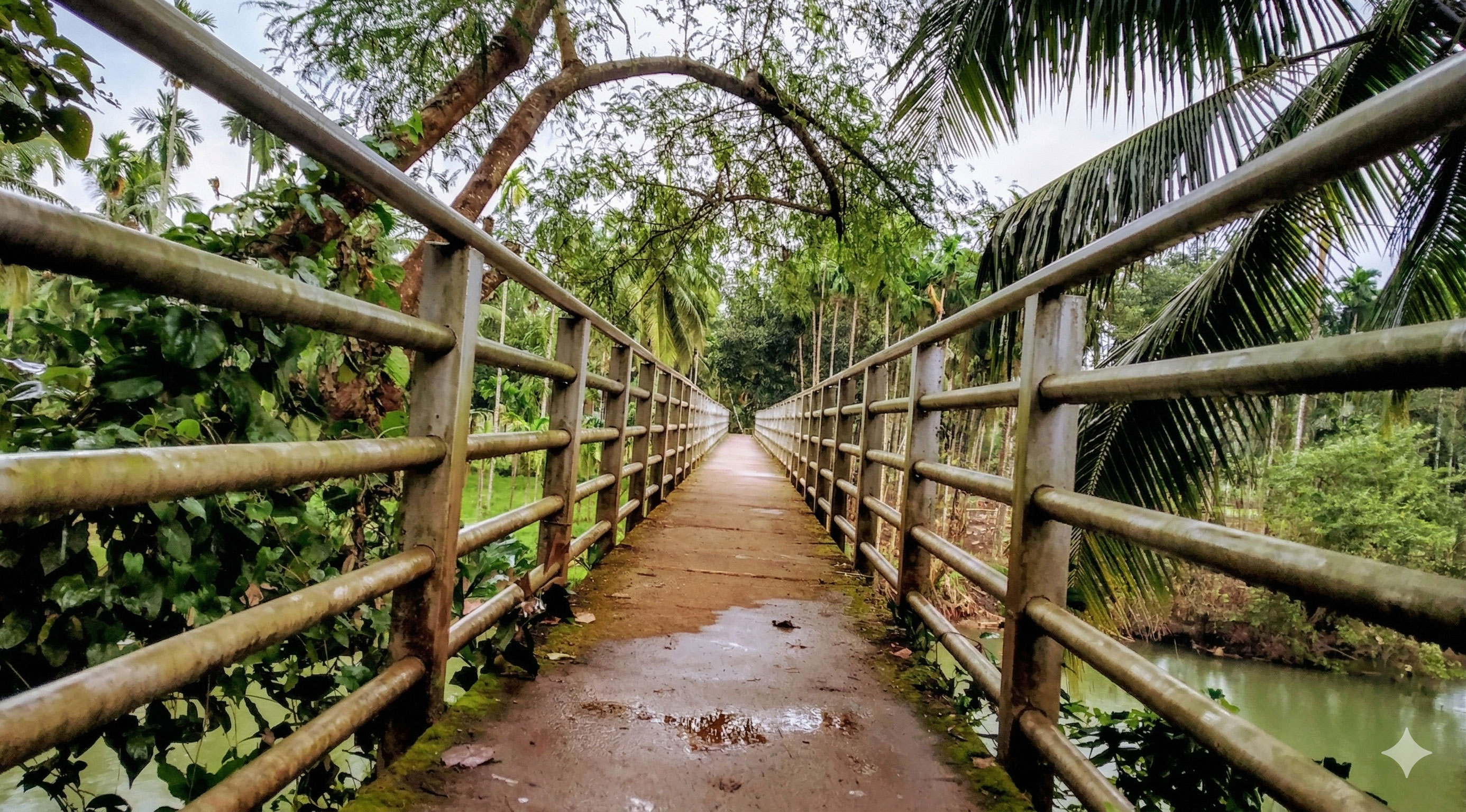 Annual Sports Meet Announced