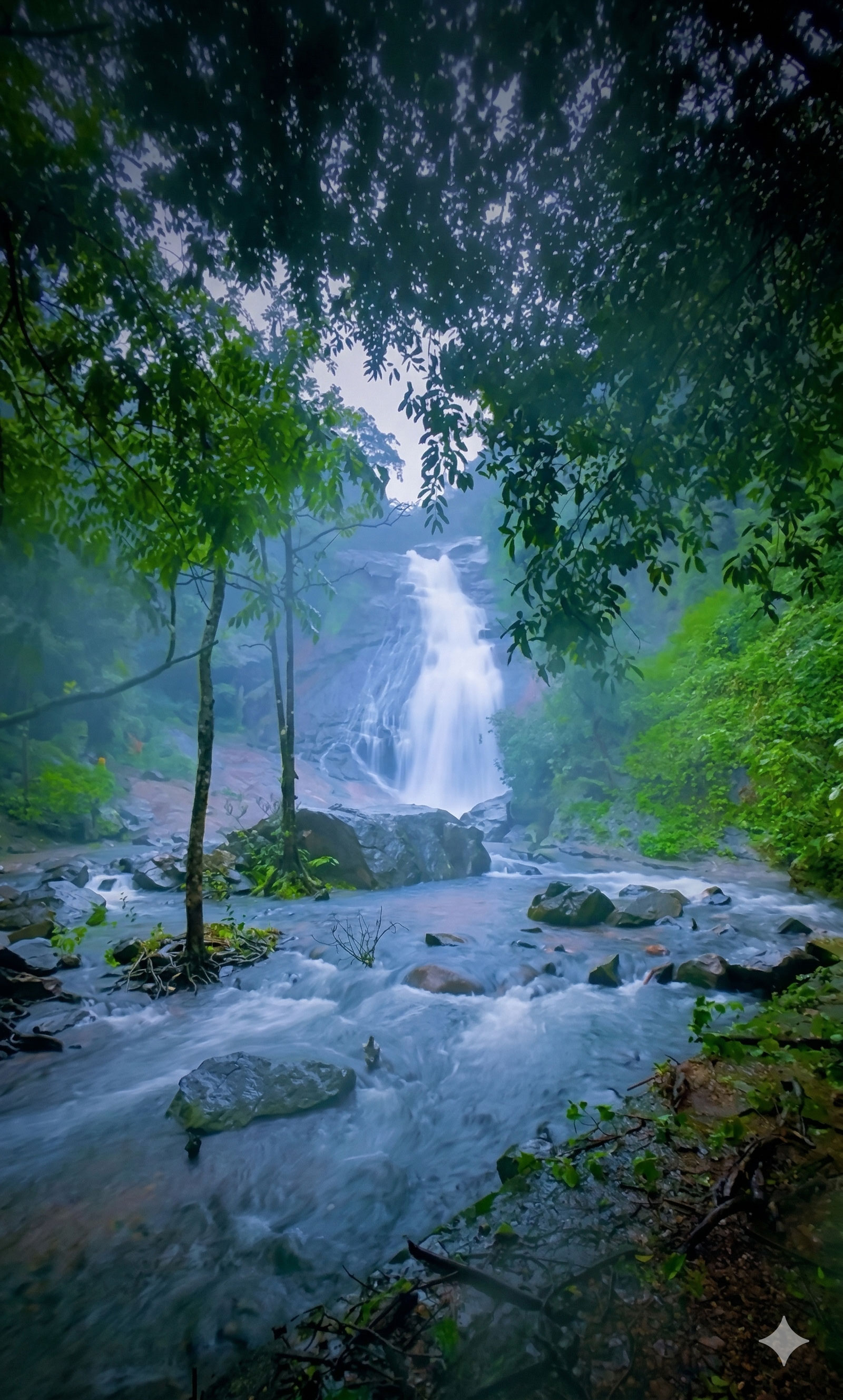 Thusharagiri Waterfalls